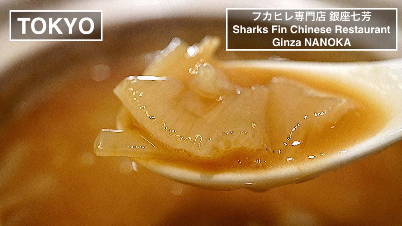 落ち着いたモダンな空間で、高級食材&ldquo;ふかひれ&rdquo;や四季折々の広東料理と共に非日常感を愉しむ - 銀座 七芳 - 【東京】