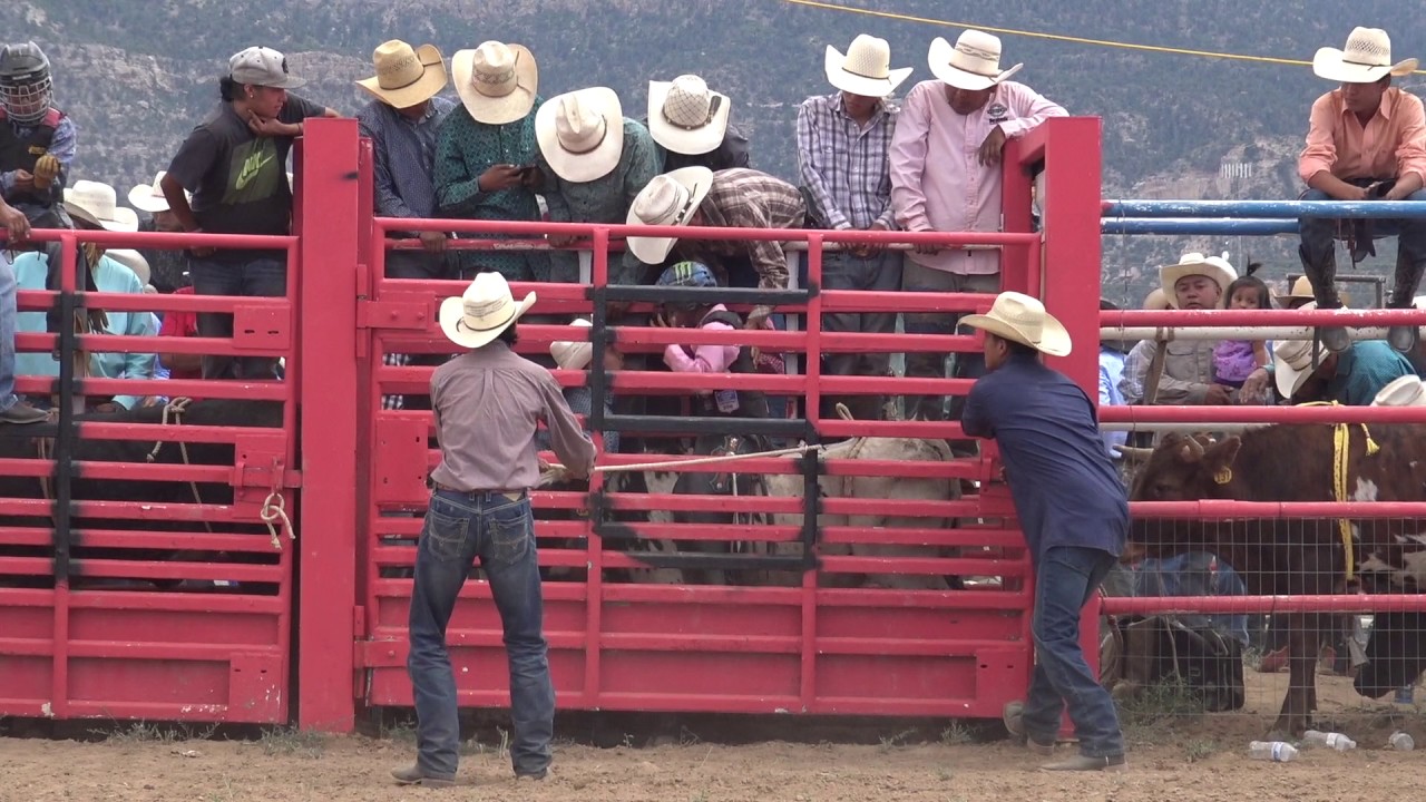 Circle Y Bull Riding Challenge