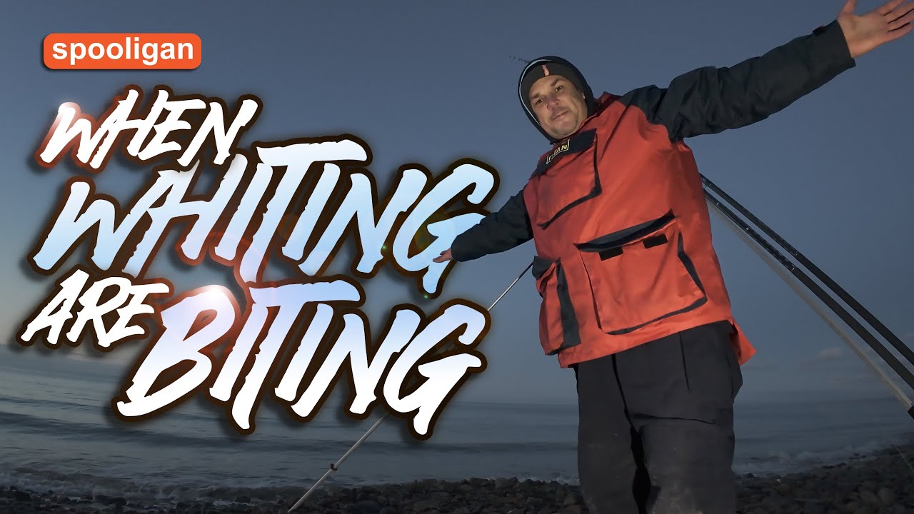 Spooligan Fishing - When The Whiting Are Biting - Cei Bach - Ceredigion