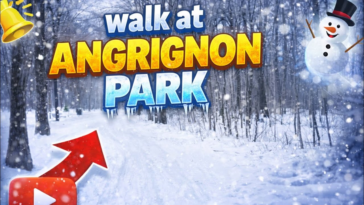 Peaceful walk - Angrignon Park - January 2026
