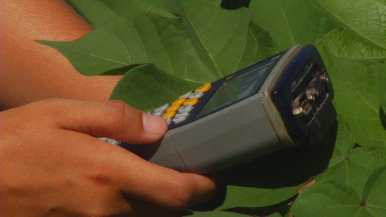 On-farm research benefits farmers and students