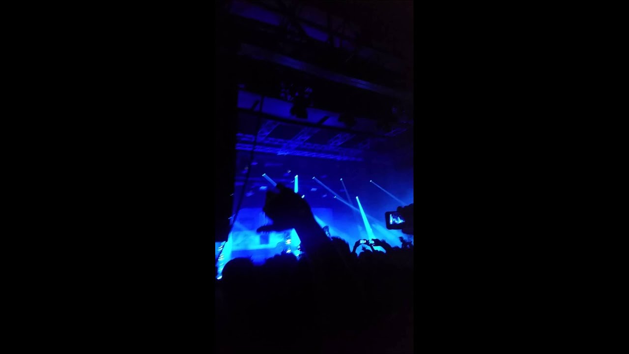 Mensch ohne Grund - Vortex (Trailerpark)