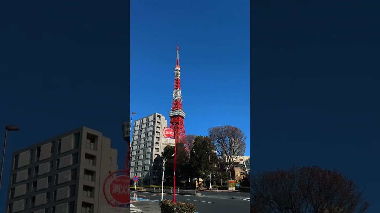 the daily street scene in tokyo 