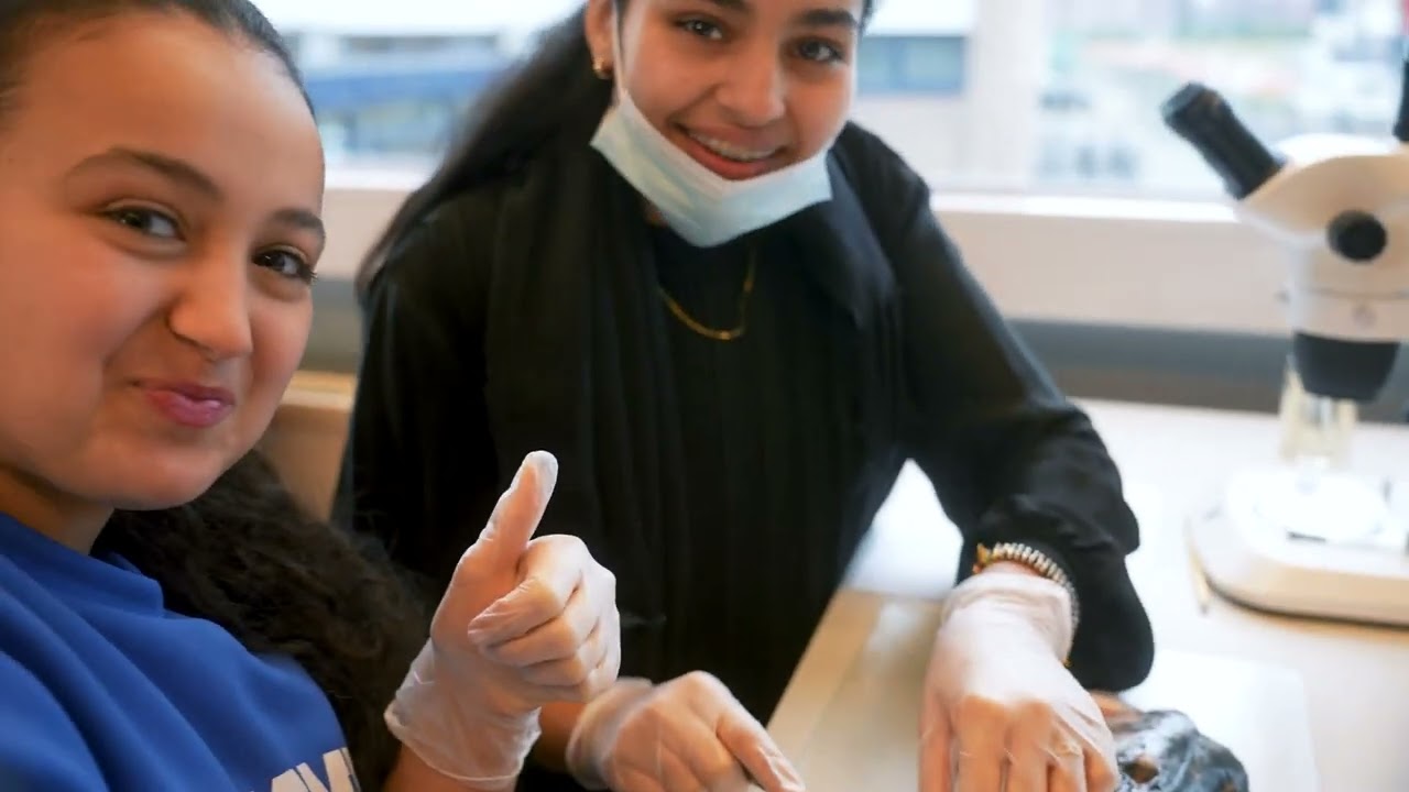 Compilatie Video Montessori Lyceum Rotterdam