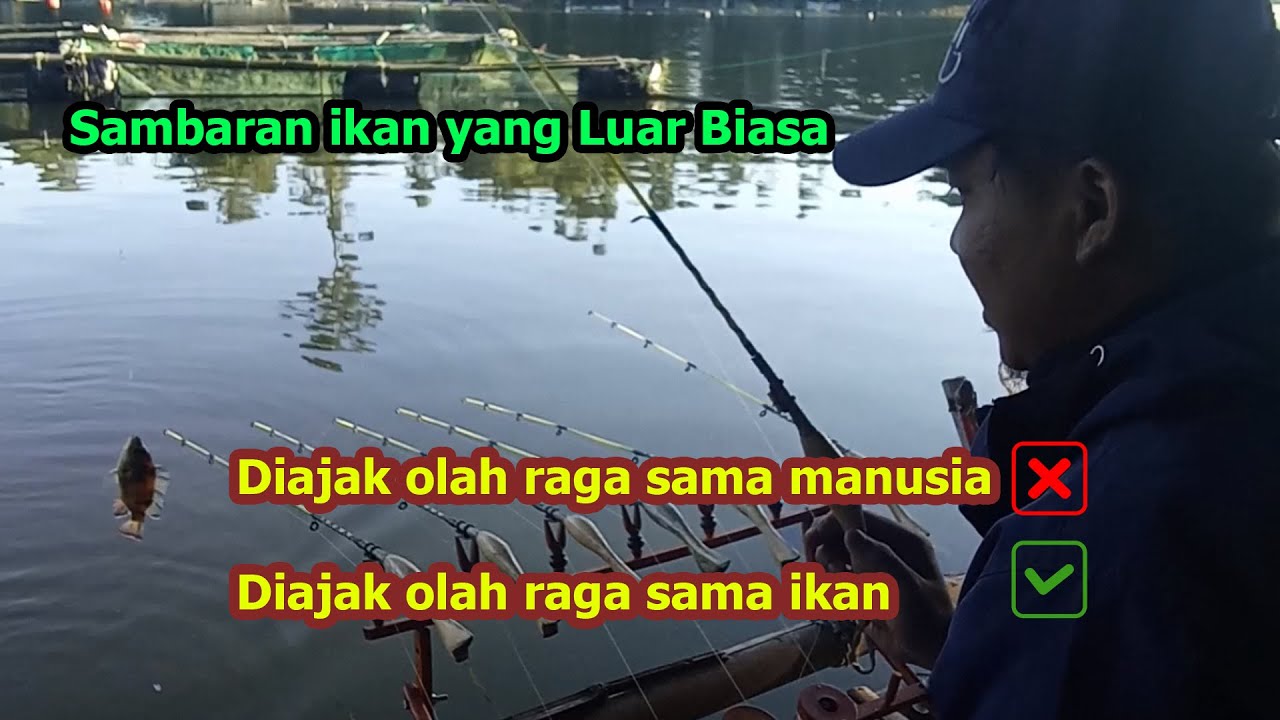 Mancing di Situ Cileunca: Diajak olah raga oleh ikan
