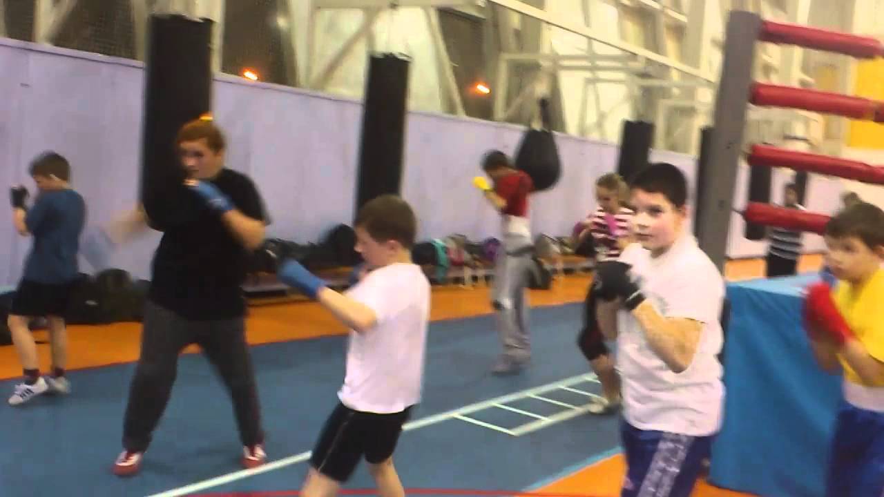 Школа бокса Training on boxing