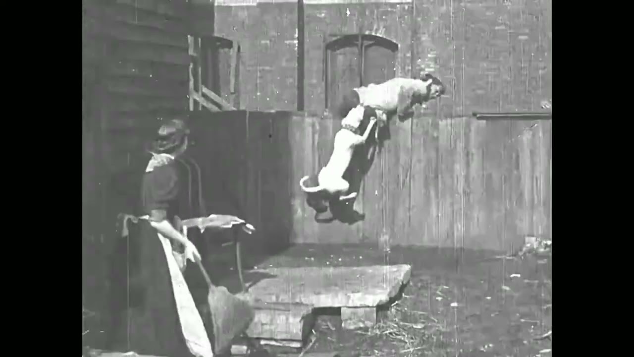 1896 - The Tramp and the Dog - Selig Polyscope