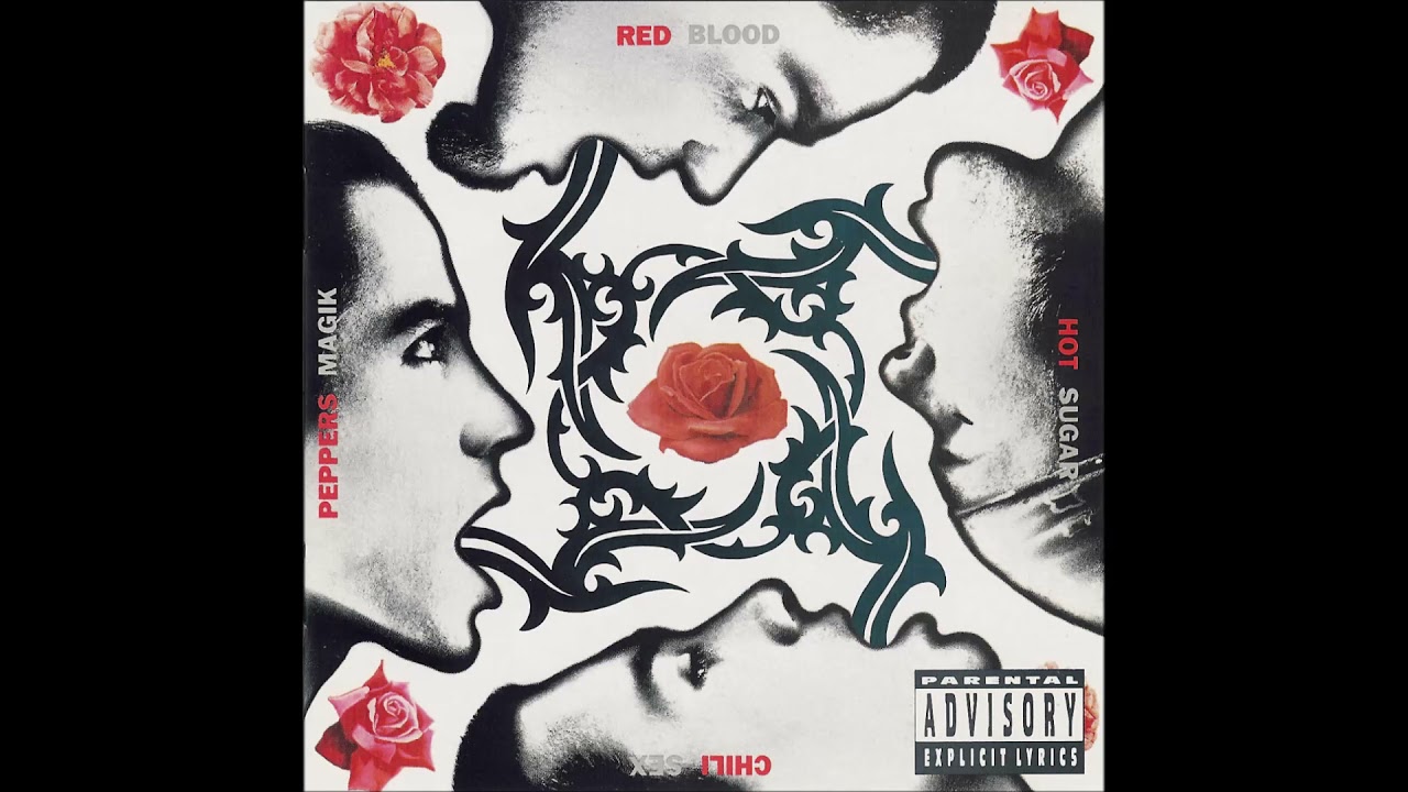 Red Hot Chili Peppers - The Power of Equality (Guitar Master Track)
