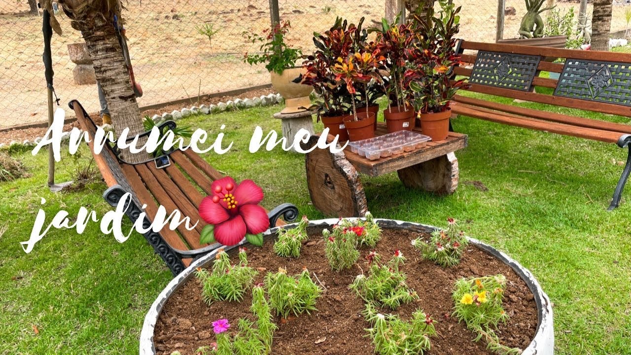 ARRUMEI MEU JARDIM! FIZ UM CANTEIRO DE CROTON! AGORA VAI!!
