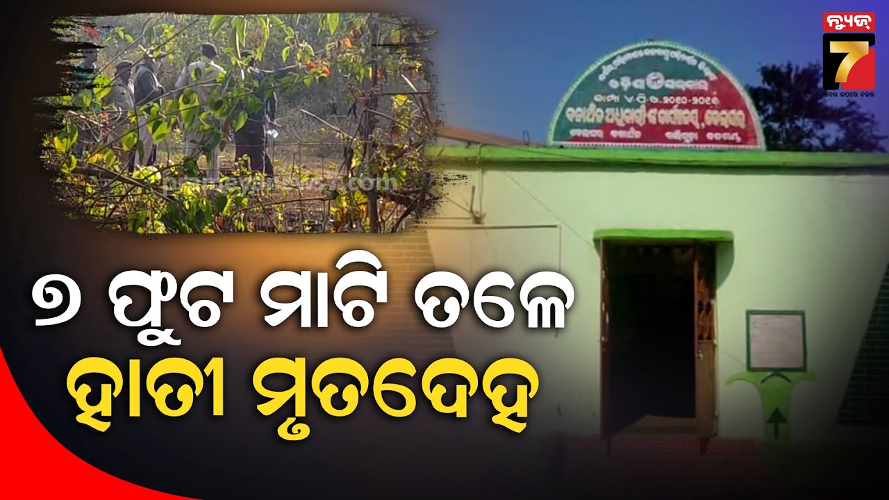ନିଲମ୍ବିତ ରେଞ୍ଜରଙ୍କ ଘର ନିକଟରୁ ମିଳିଲା ମୃତହାତୀର ଦେହାଂଶ: ମୋବାଇଲ ଲାଇଟ୍‌ରେ ହେଲା ଶବ ବ୍ୟବଚ୍ଛେଦ!