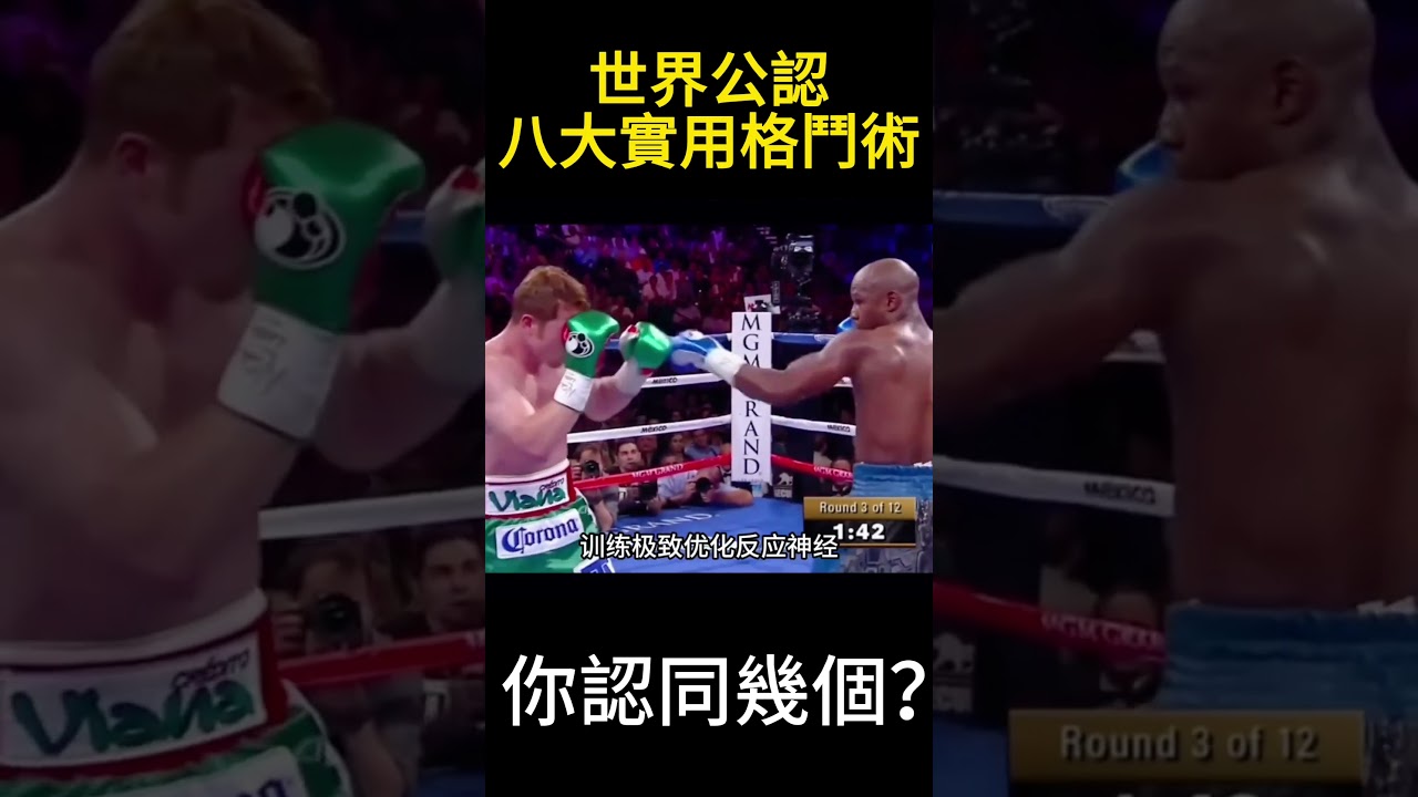 世界公認八大實用格鬥術！散打，泰拳，跆拳道，空手道，你覺得那個最厲害？#格鬥 #功夫