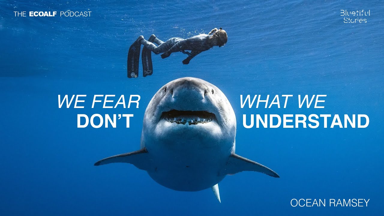 Ocean Ramsey: Face to Face with Sharks | The Ecoalf Podcast