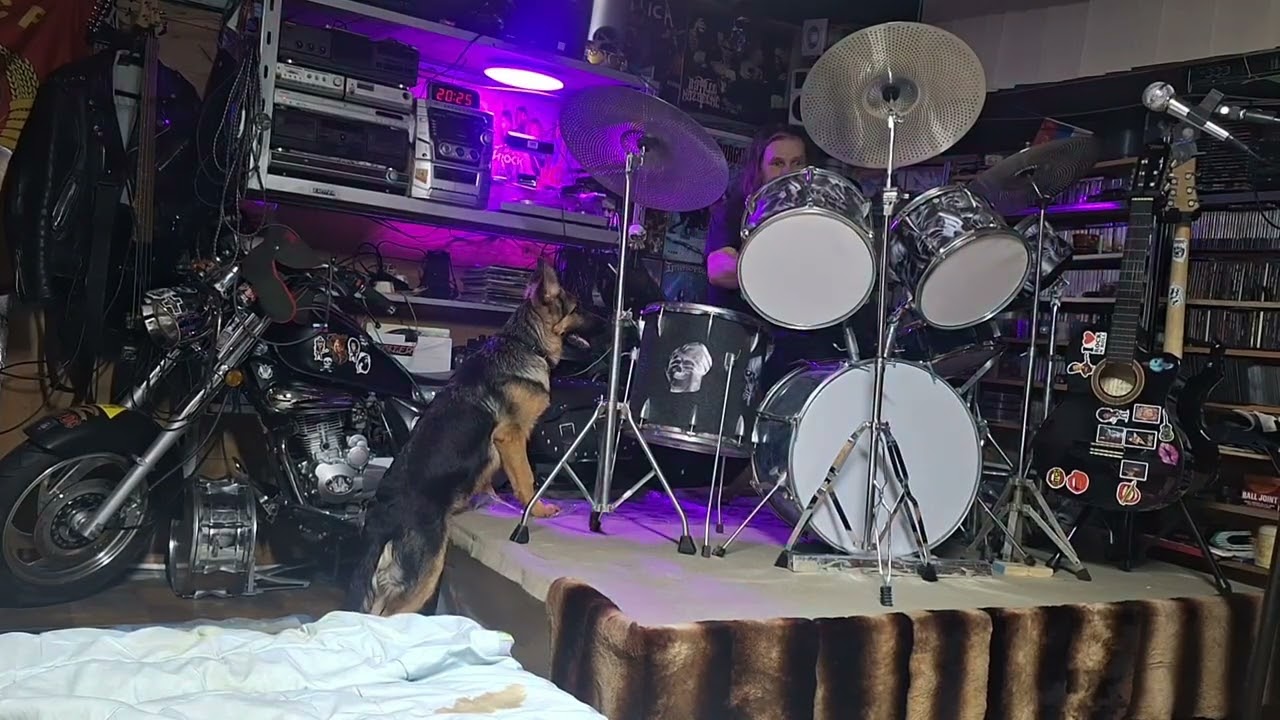 🎼Thrash metal  drums & DOG 🤘☠️👍