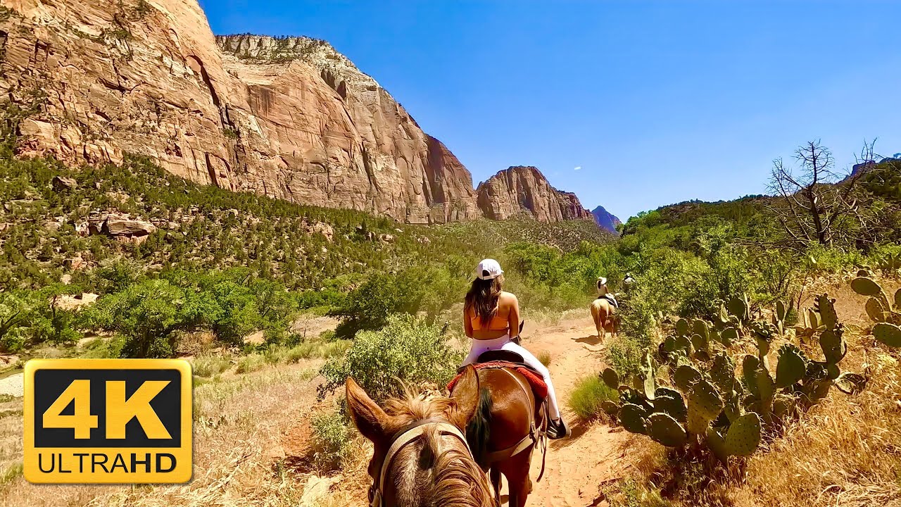 Horseback Riding on Virgin River | Zion National Park Utah | Canyon Trail Rides