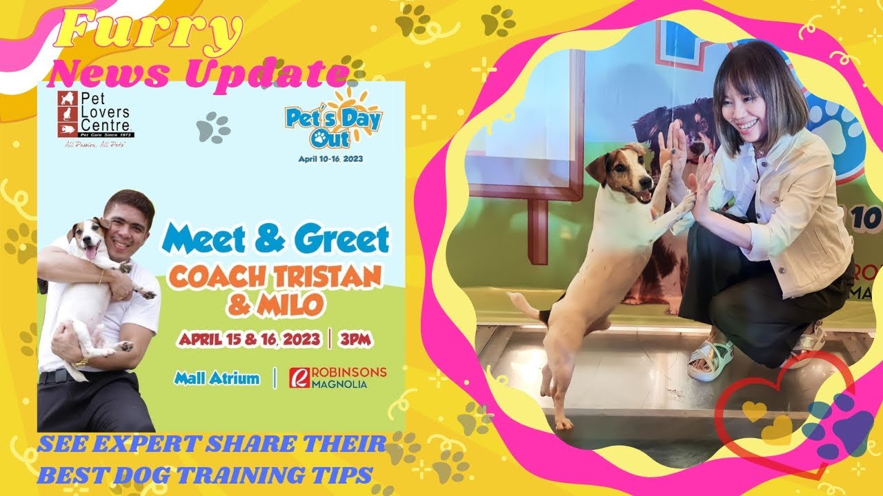 Meet and Greet Coach Tristan & Milo (The Celebrity Dog) (ﾟ▽＾*)☆