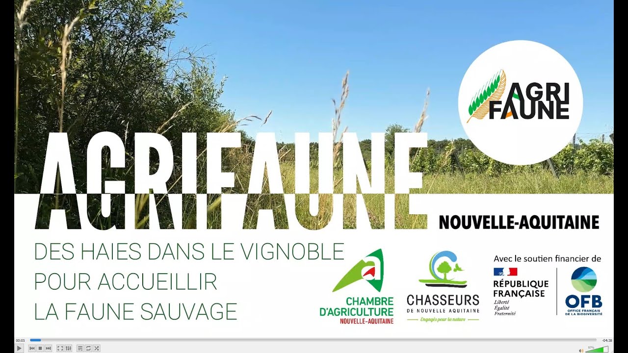 Des haies dans le vignoble bordelais (Agrifaune Gironde)
