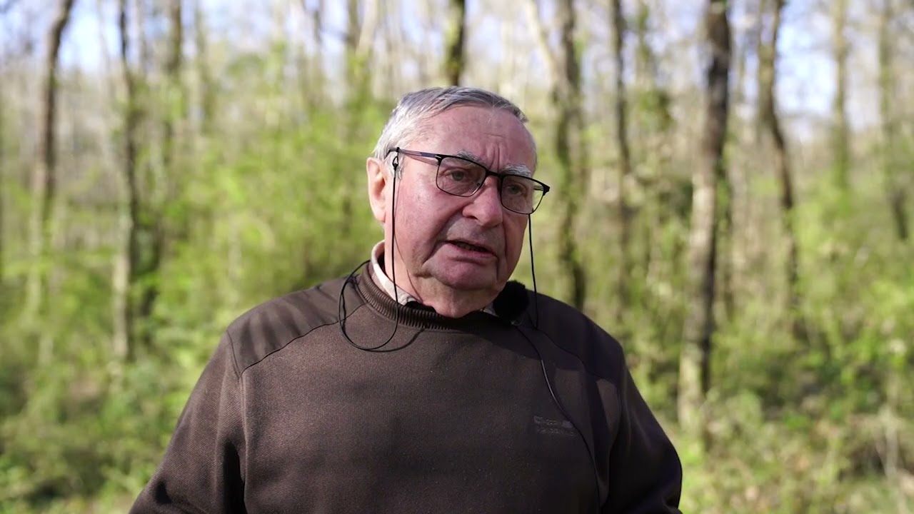 Les Forêts Saumur Val de Loire - Gestion Forêt privée