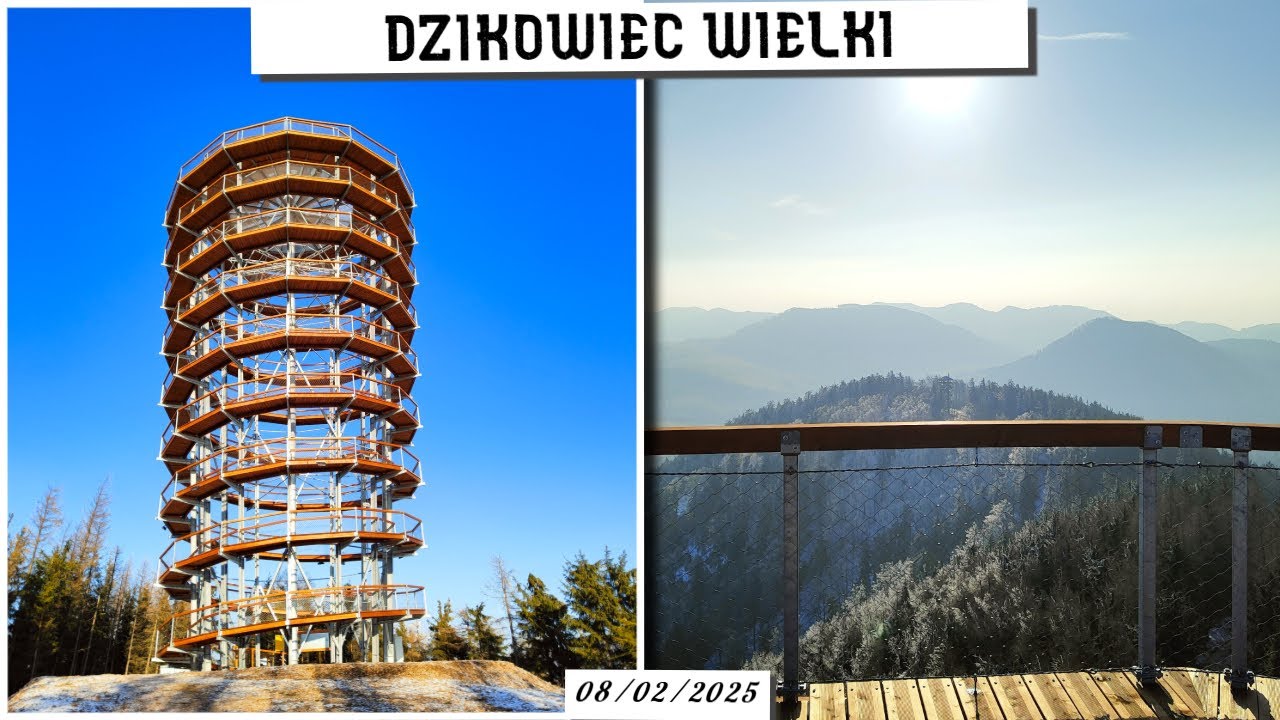 Wycieczka na Dzikowiec Wielki - ciekawa pętelka z Boguszowa-Gorców (przez Łyse Drzewo i Sokółkę)