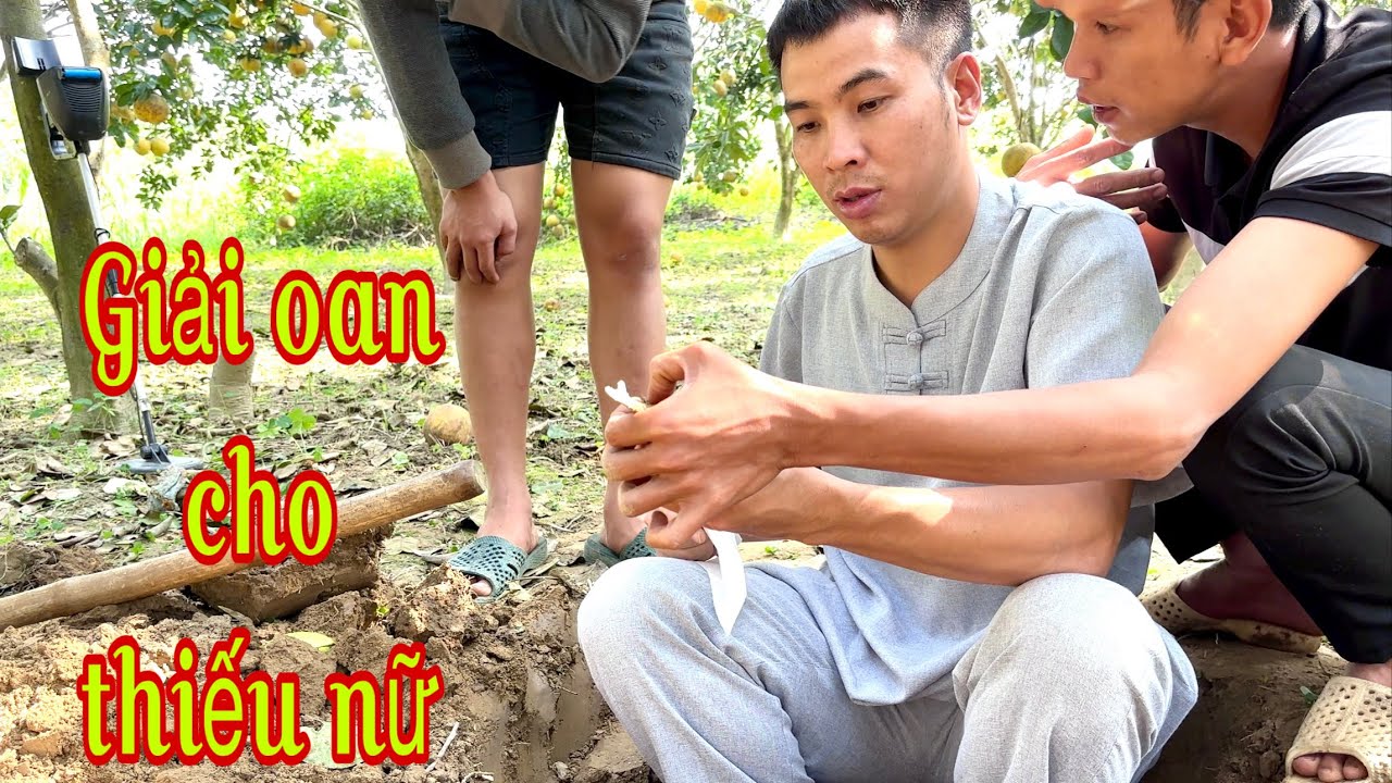 LƯU HẬU - GIẢI MÃ GIẤC MƠ - khu vườn bưởi quả bị đắng không ăn được 