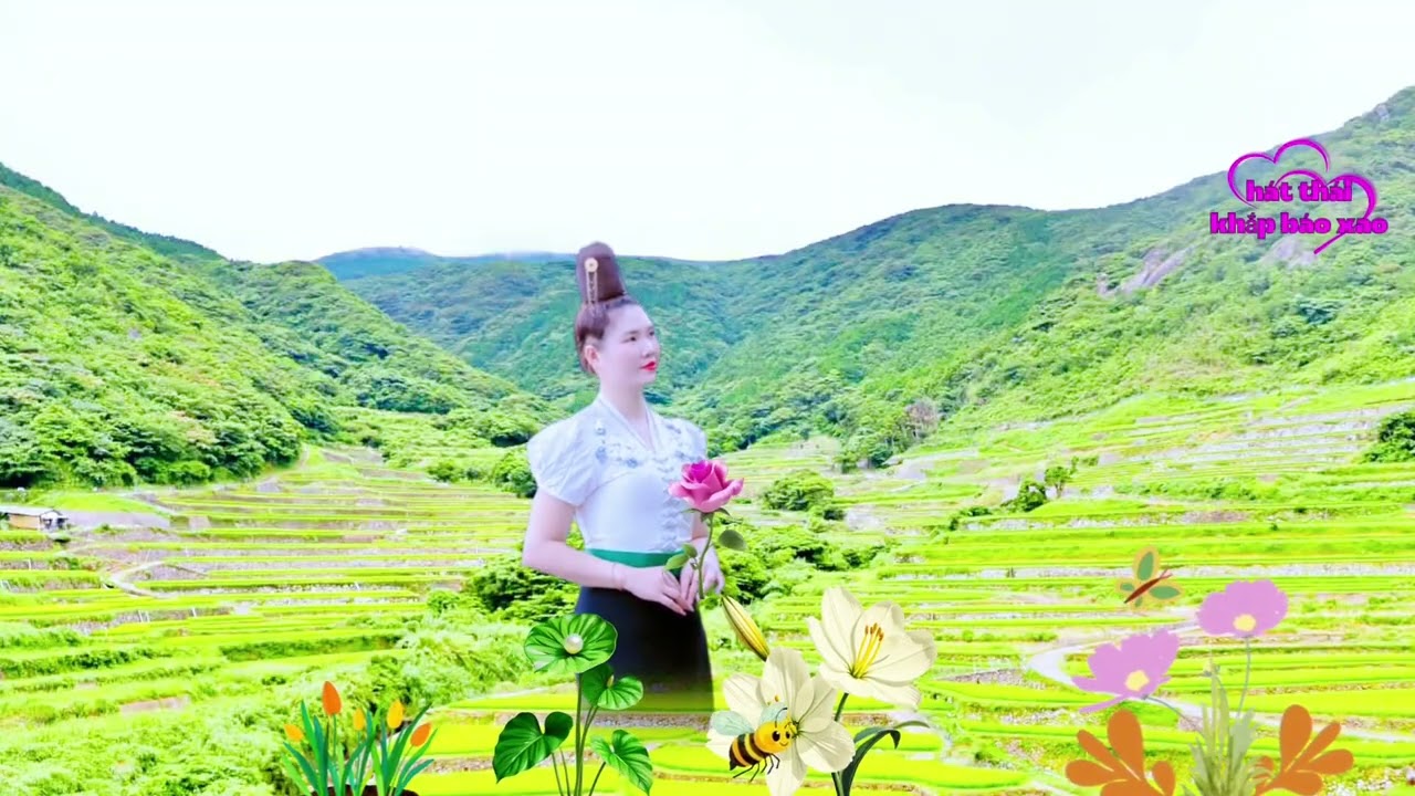 Hát thái khắp tay báo xao tổng hợp các bài hát hay nhất 