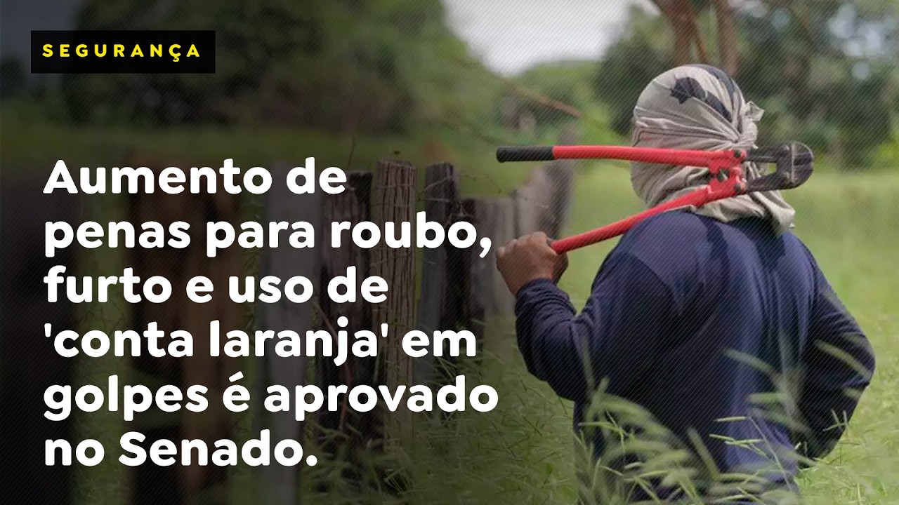 Aumento de penas para roubo, furto e uso de 'conta laranja' em golpes é aprovado no Senado.