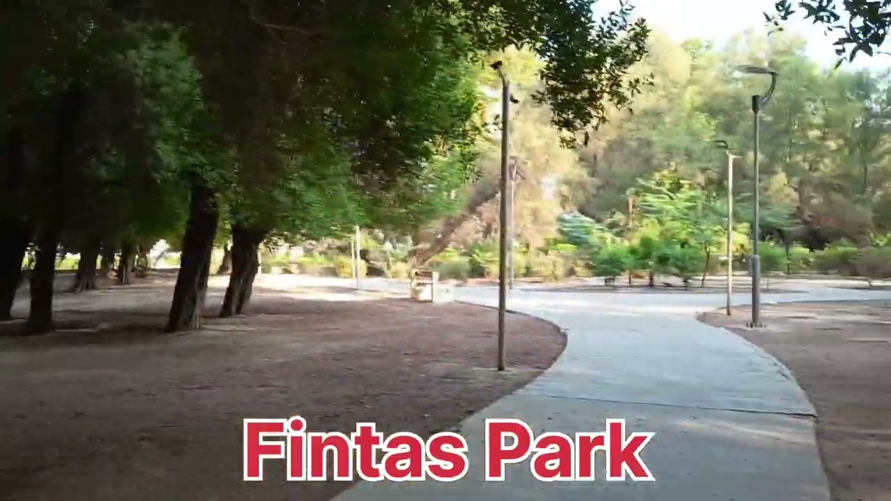 Kuwait Fintas Park Street View