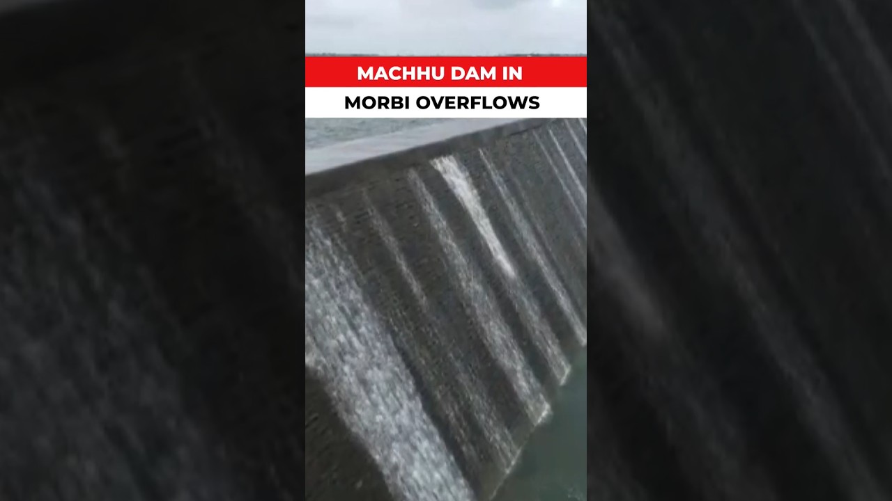 Gujarat Rains: Machhu dam in Morbi overflows owing to heavy downpour