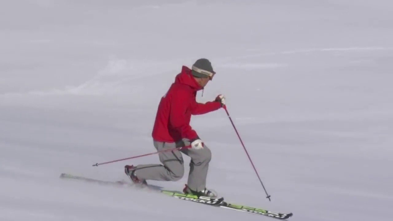 Telemark Demo (テレマーク)