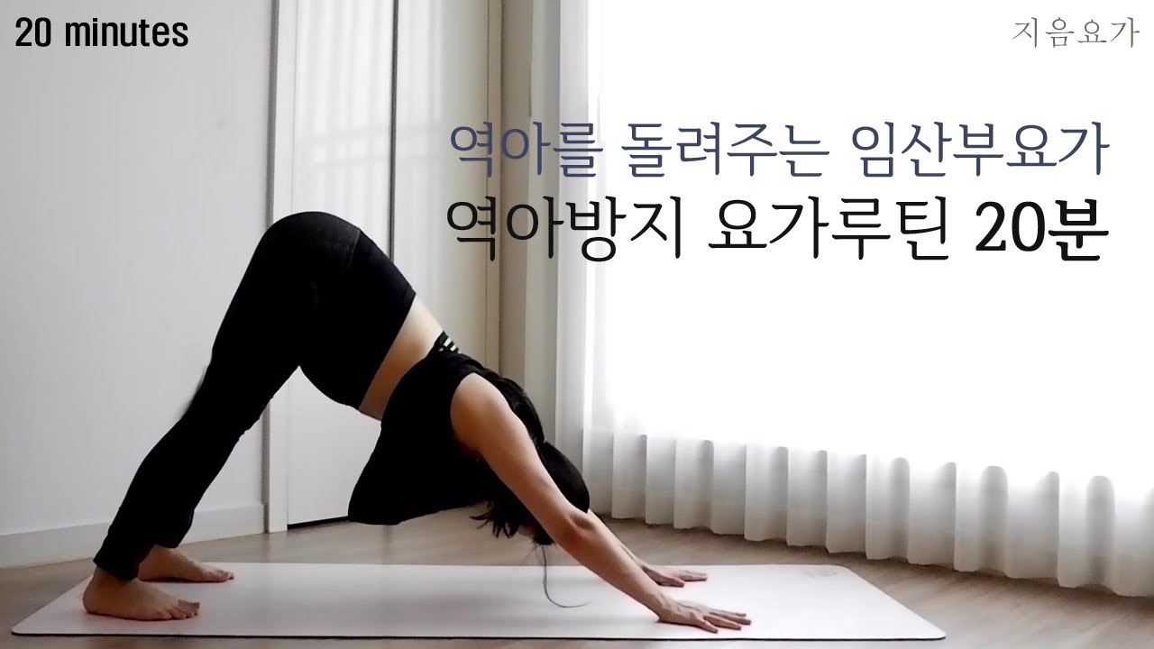역아를 돌려주는 임산부요가 / 역아방지 요가루틴 20분 / 역아돌리기 by.지음요가(jiumyoga)