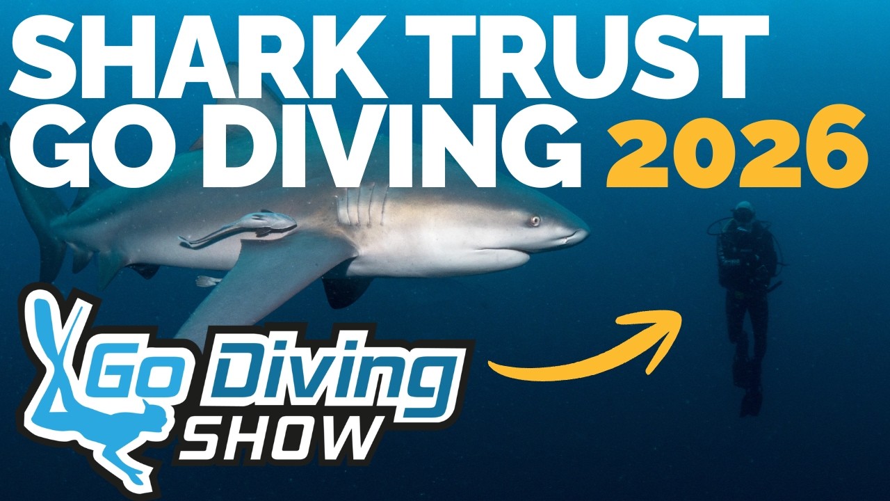 The Shark Trust at the Go Diving Show in 2026