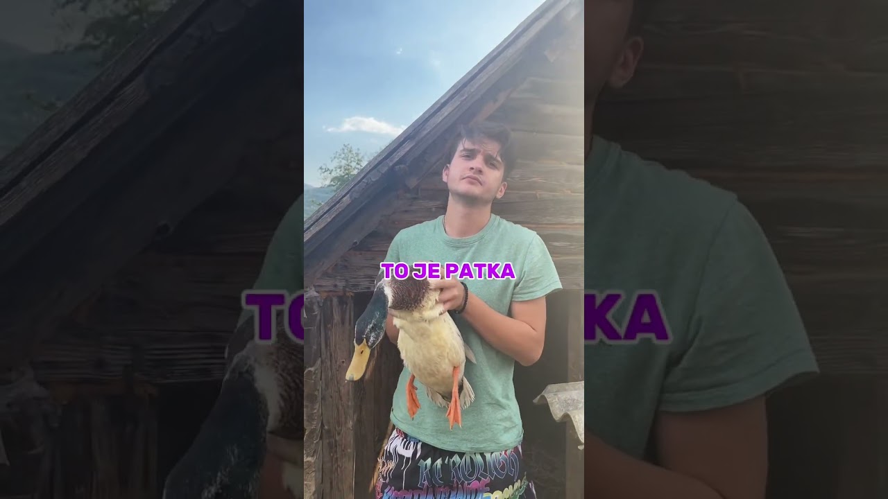 SPAVAM SA PATKOM #randomiguanna #patka