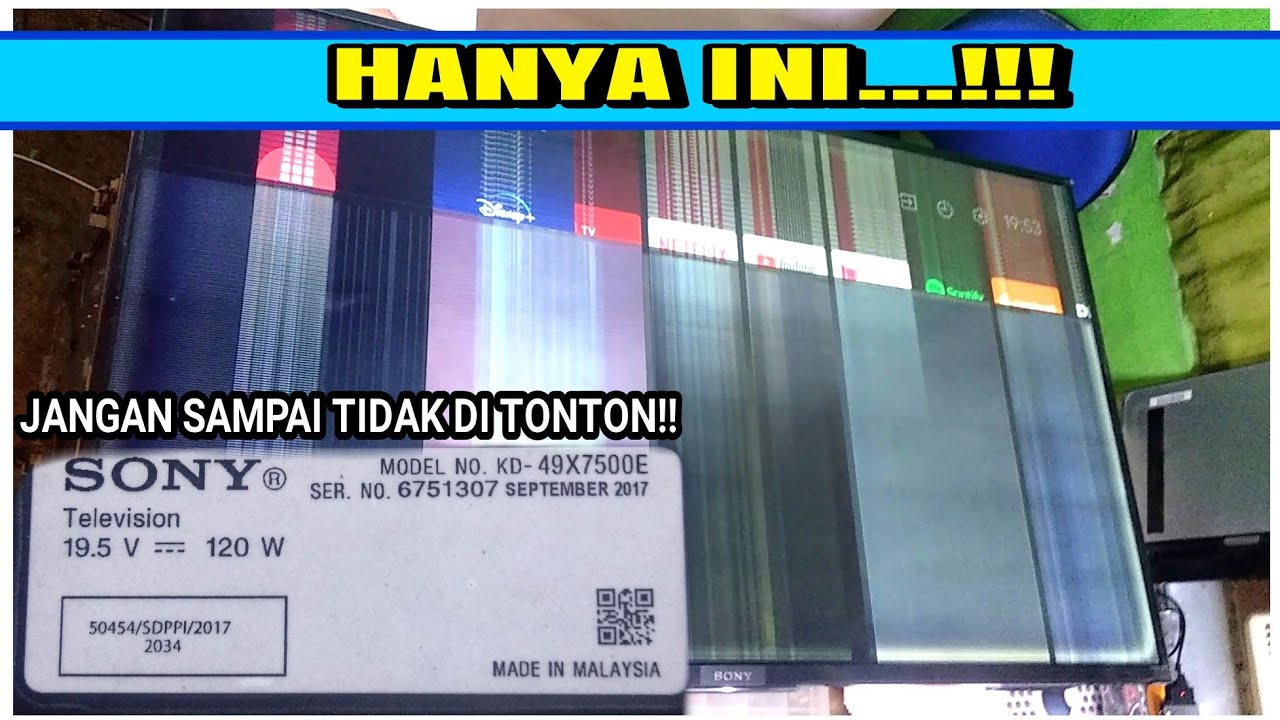 SONY 49 IN GAMBAR BERGARIS DAN BERGETAR