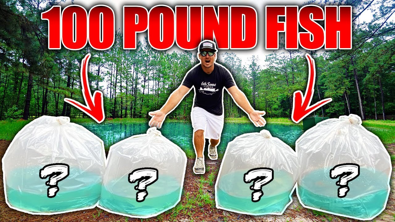 STOCKING My BACKYARD POND w/ Trophy Fish!! (100+ Pounds)