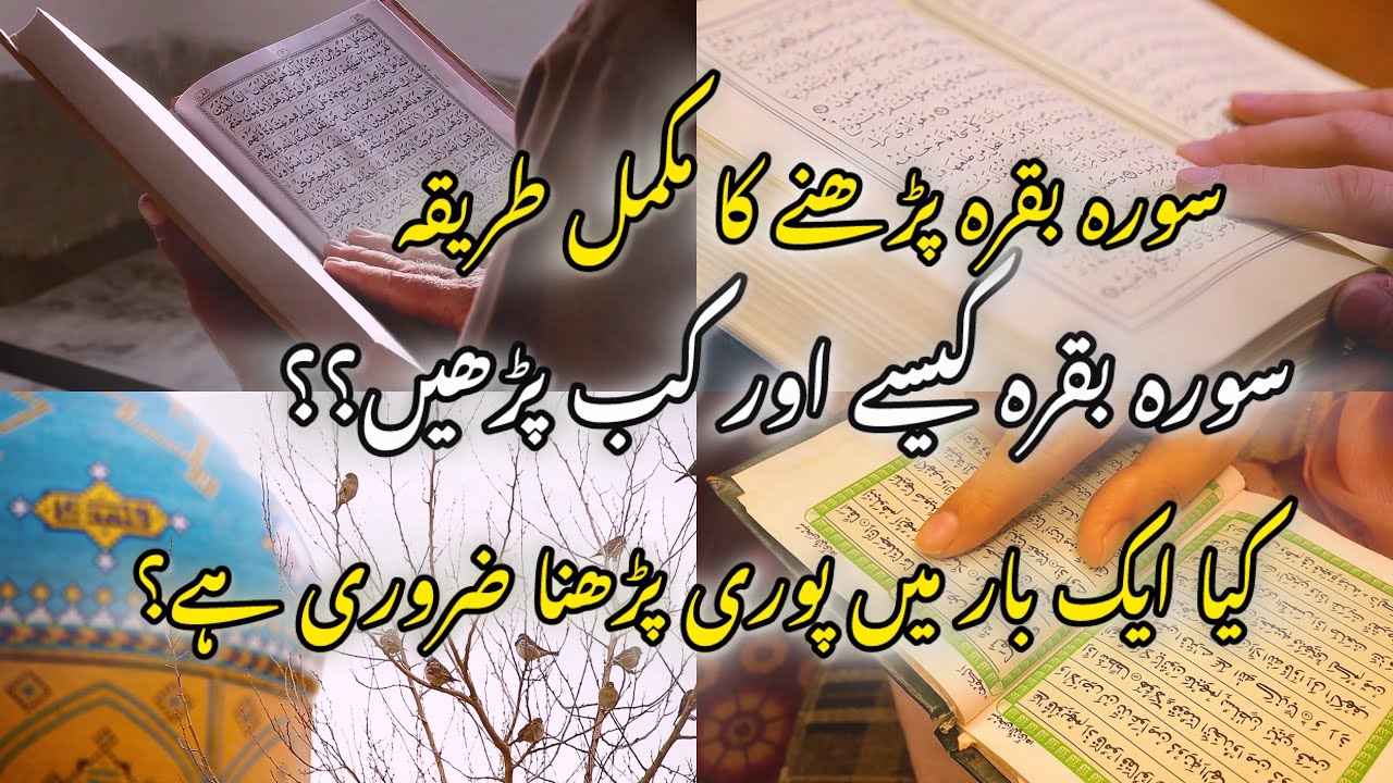 How to read surah baqarah? || complete guide|| surah al baqarah fazilat