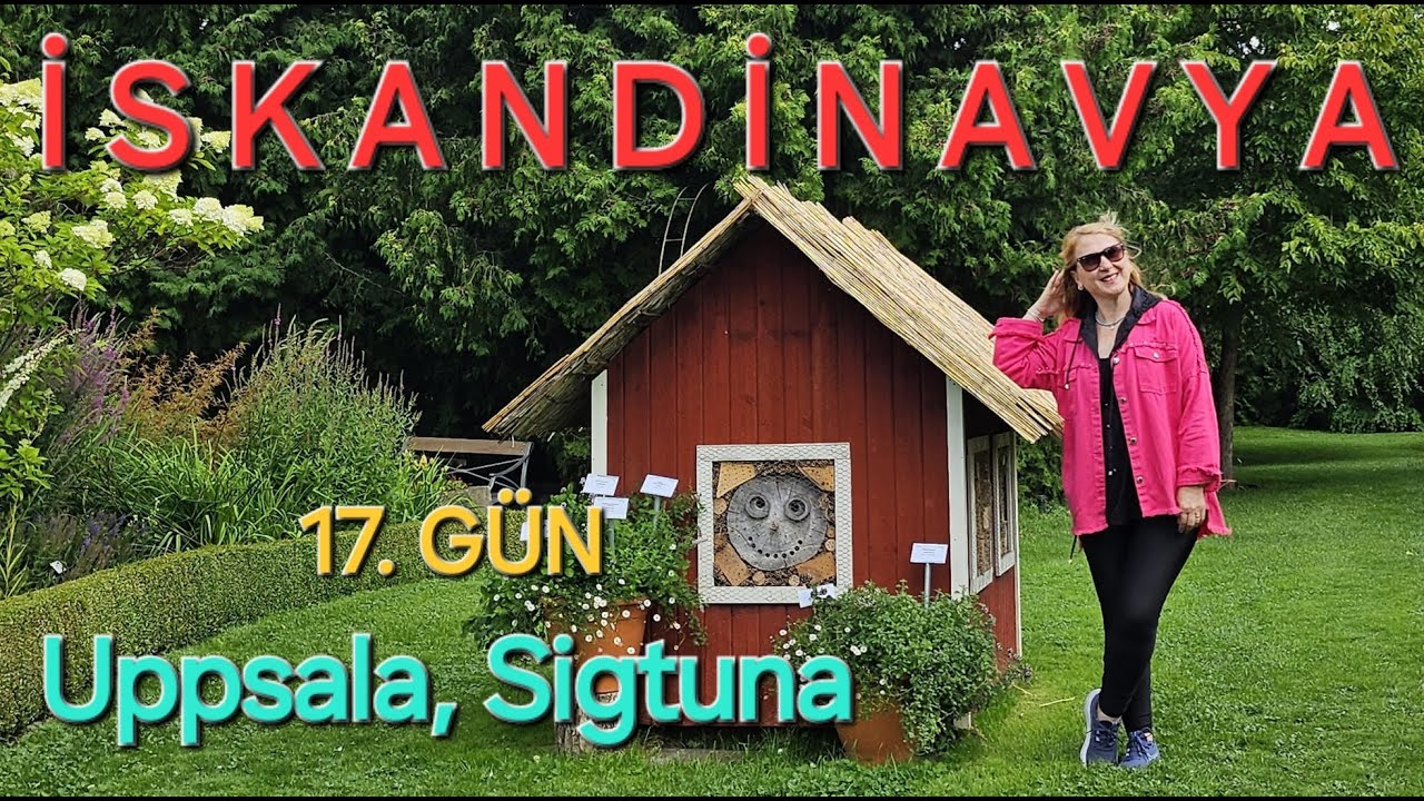Uppsala, Sigtuna, Vikingler, İsveç