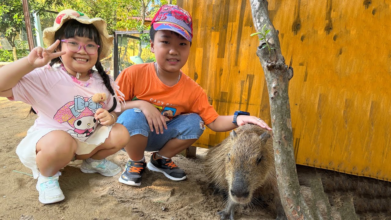 LỄ GIỖ HÙNG VƯƠNG 2025 - KEN VÀ KEM GHÉ THĂM 4 BẠN CAPYBARA TẠI THẢO CẦM VIÊN.