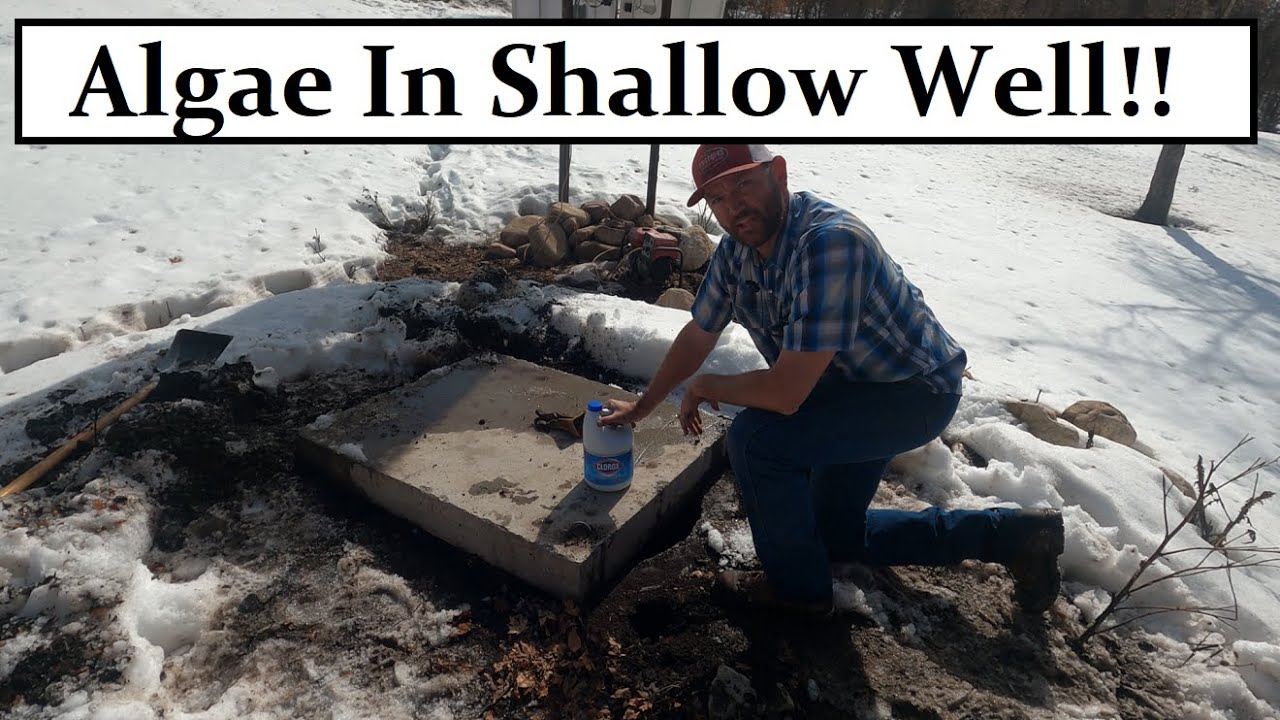 #489 - We Have Bacteria, Algae In Off Grid Water System. Baby Goats Everywhere!