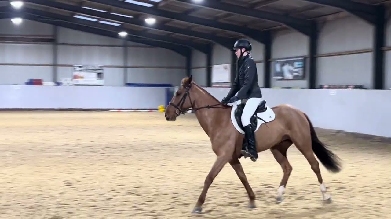 NSEA January 2026 pop up dressage - class 2 - prelim 1 (2024) - Lily on ridge cross lad