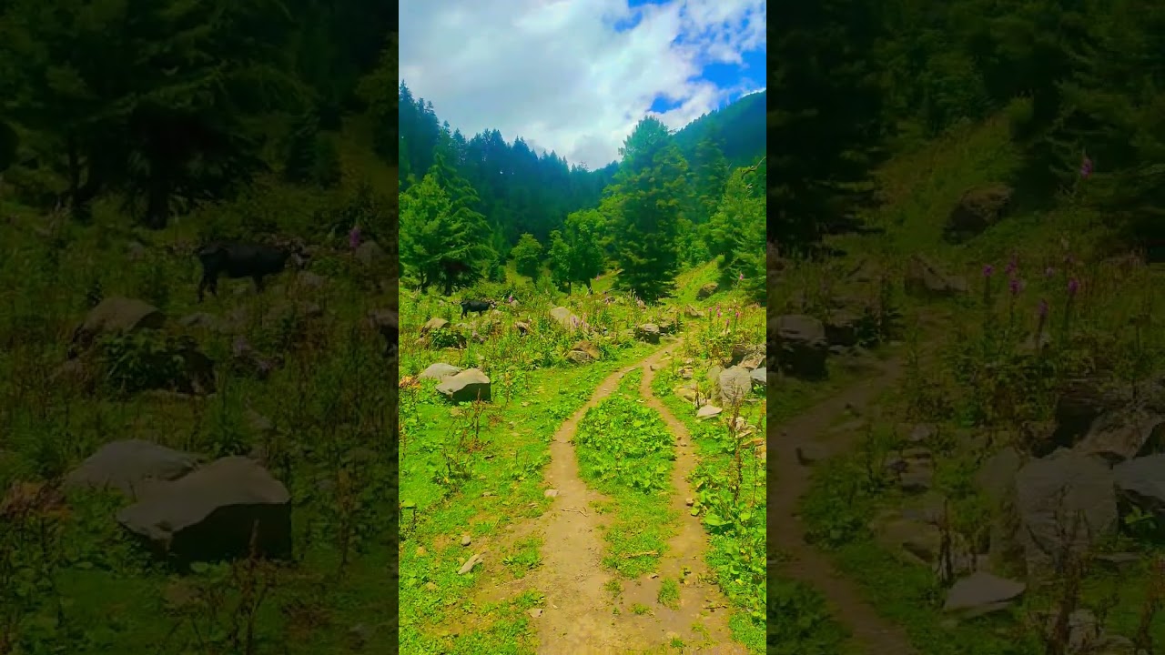 Tunnel point Singpora Chatroo beautiful view