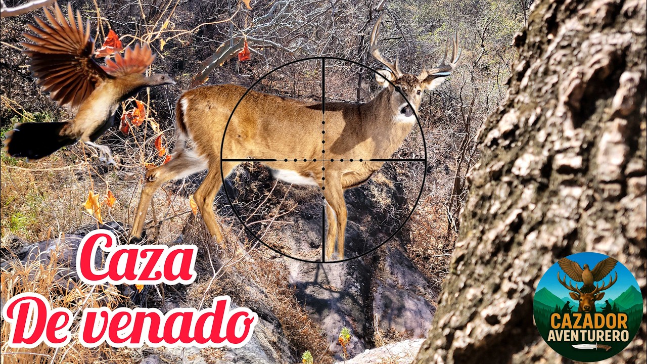 Cacer&iacute;a De Venado Y Chachalacas En Ojo De Agua - CALLO EL ESTAQUILLO