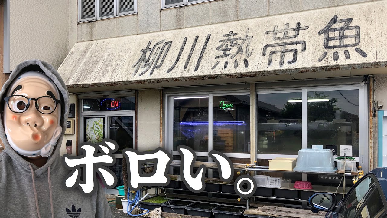看板はボロいが店内はスゴい熱帯魚屋さん