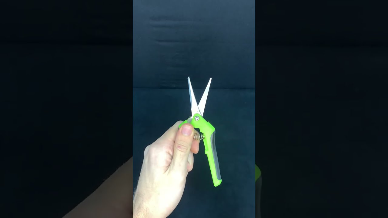 Defoliaci&oacute;n!
