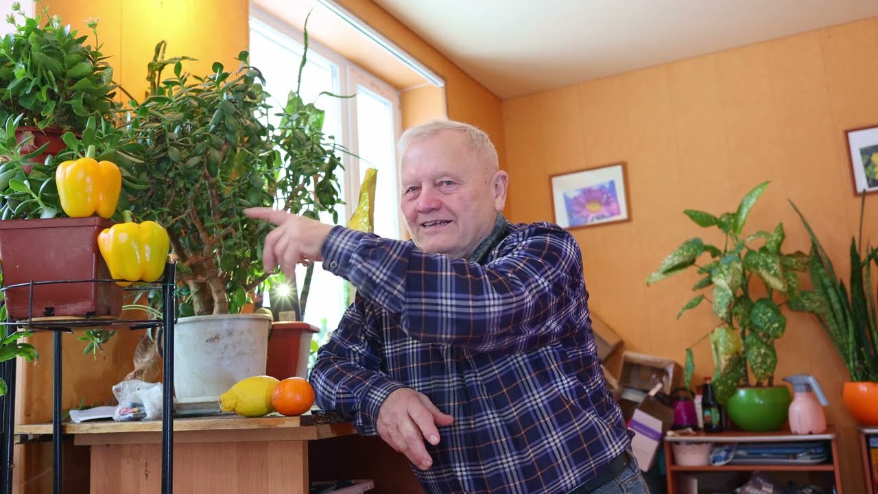 Новые видео. Sepp Holzer и его ученики создают водные экосистемы по всему миру.