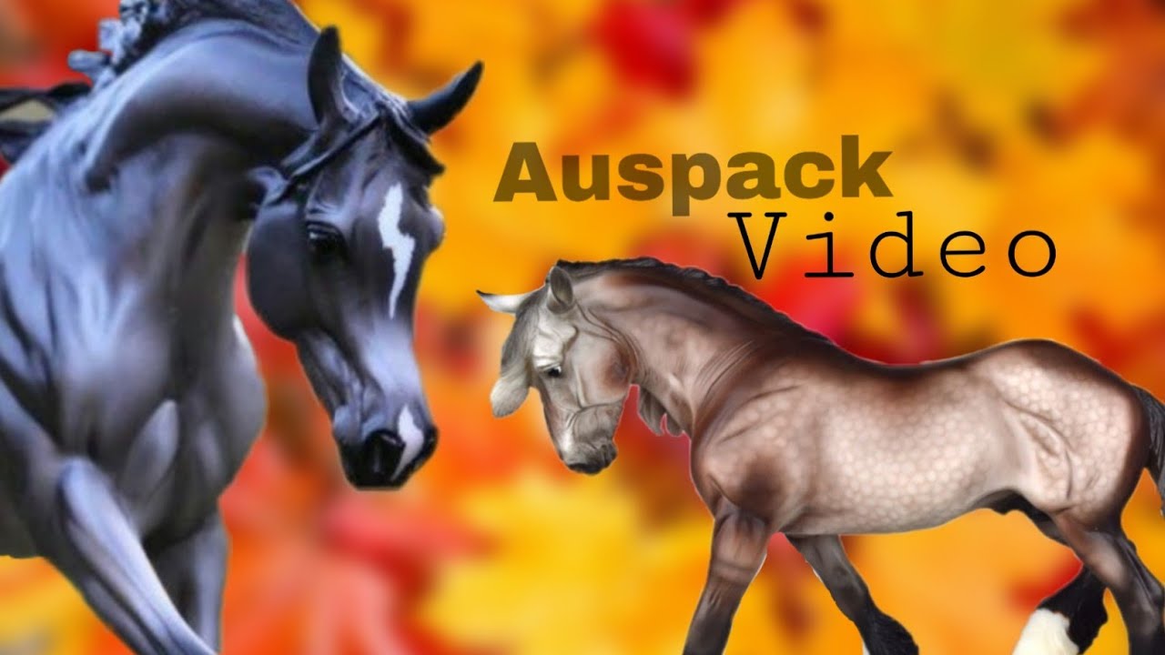 Auspackvideo - 2 neue Breyer
