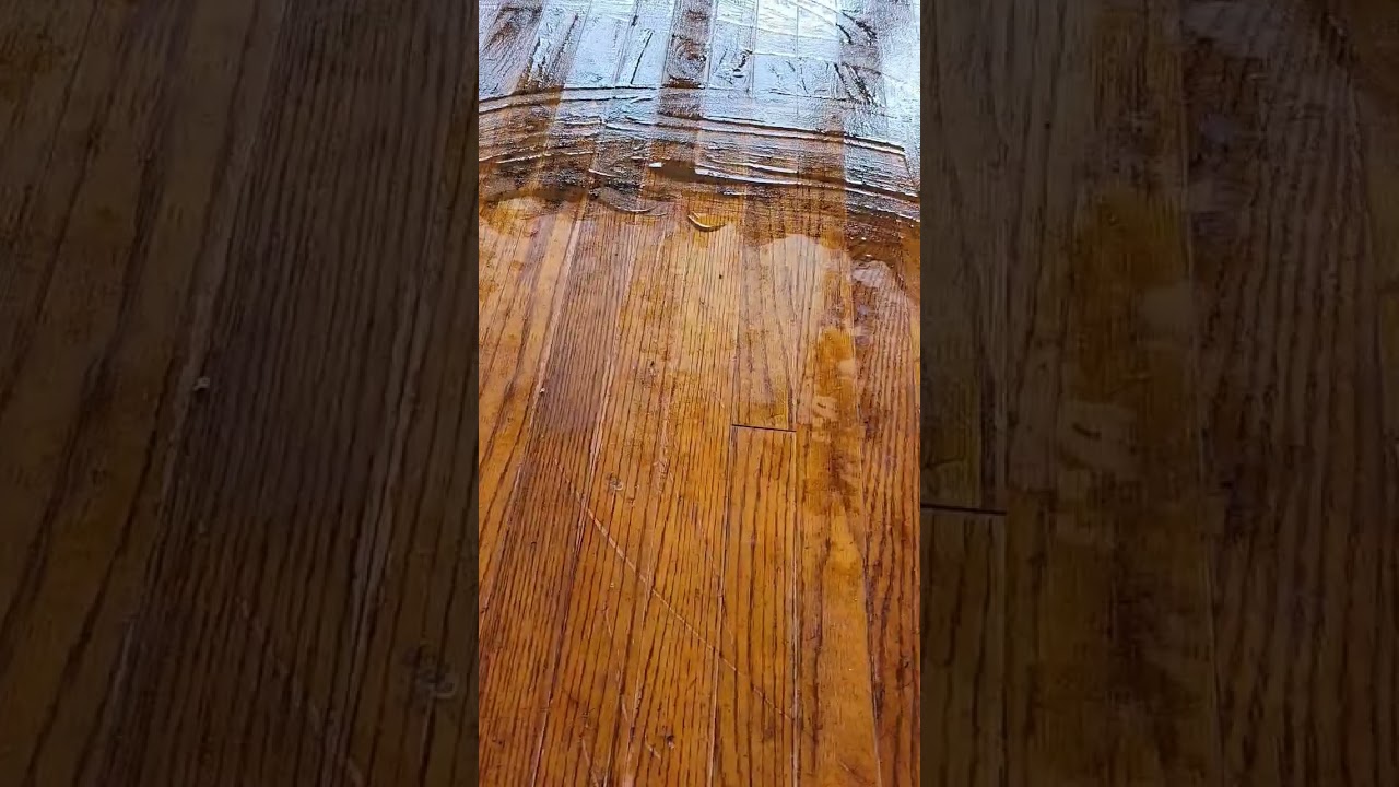 carpet padding stuck to hardwood floor