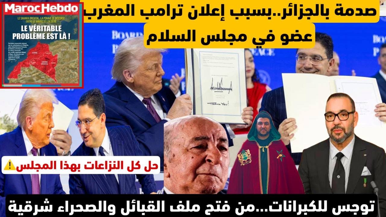 نايضة عند الكبرانات بعد إعلان ترامب المغرب عضو بمجلس السلام/تخوف من فتح ملف الصحراء الشرقية