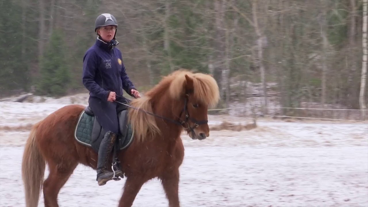 Del 2. Spända hästar har en egen motor som kan användas till något positivt  1080p