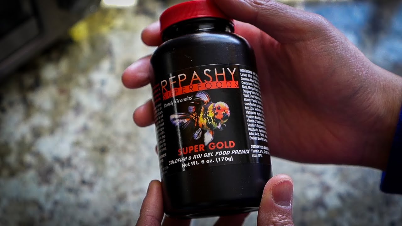 First time experience with Repashy Gel Food