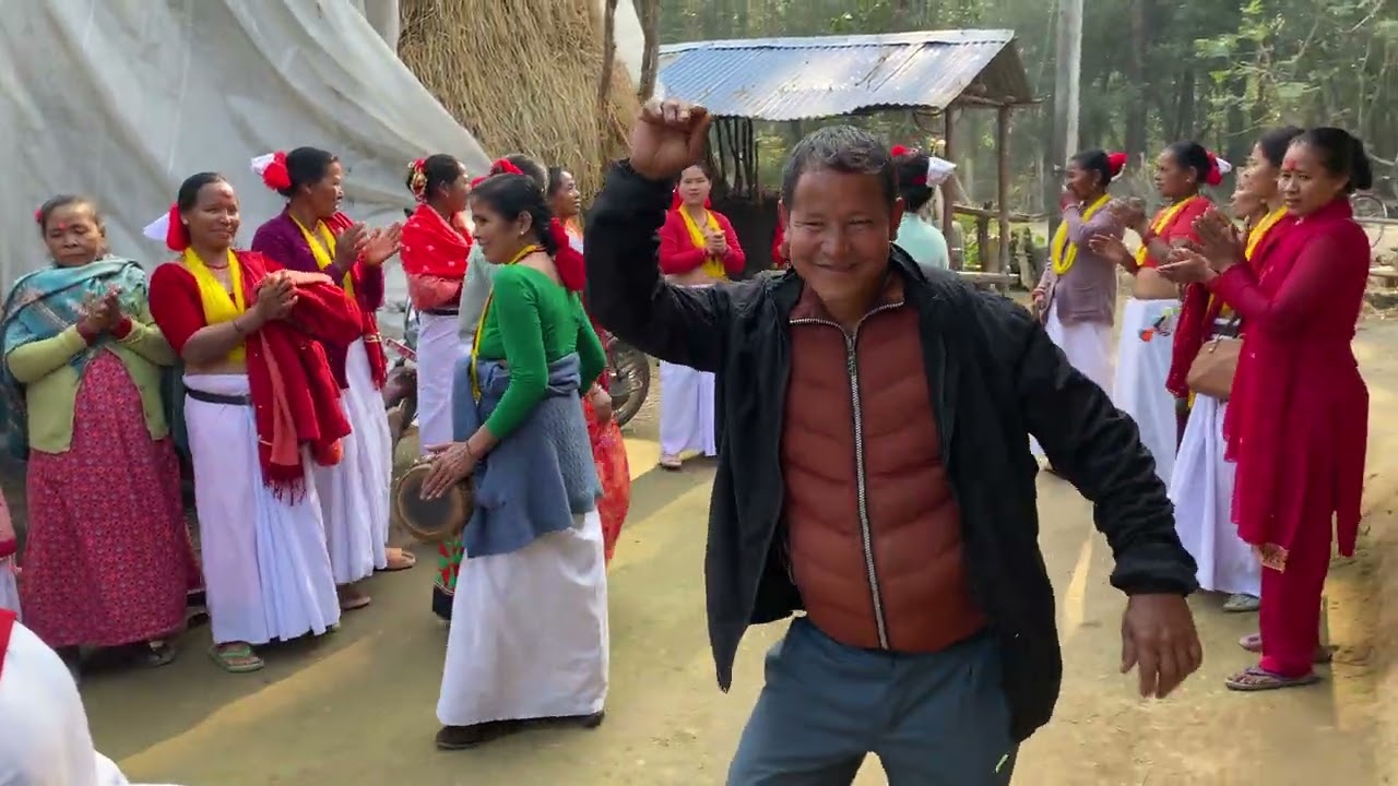 Tharu maghi Dance .                                Baluwafatha gaun  kanchanpur 