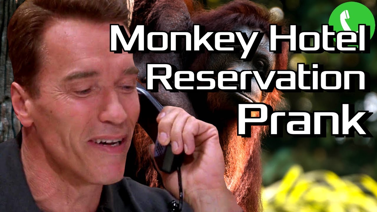 Apes Ruin Arnold's Hotel Reservation - Prank Call